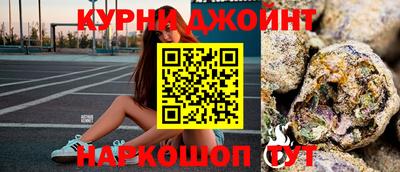 гидра Будённовск