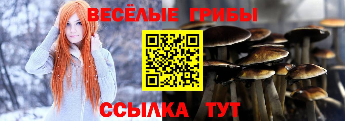 Тельмана  Галлюциногенные грибы Psilocybe  Вход с VPN 